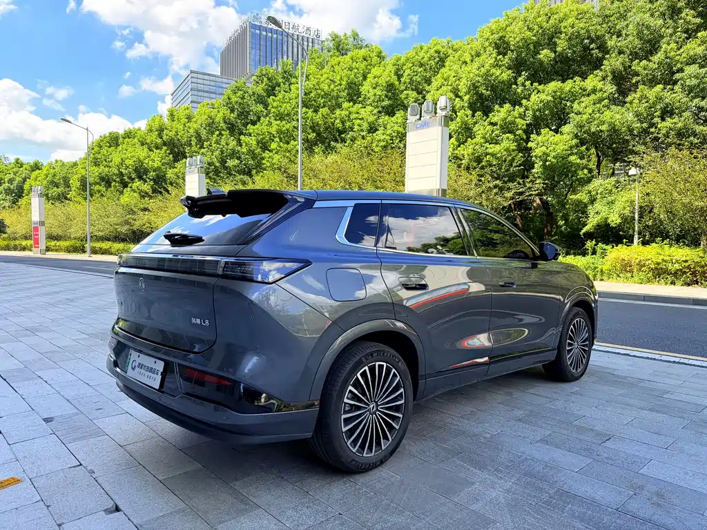 Aeolus L8 — миниатюра 9
