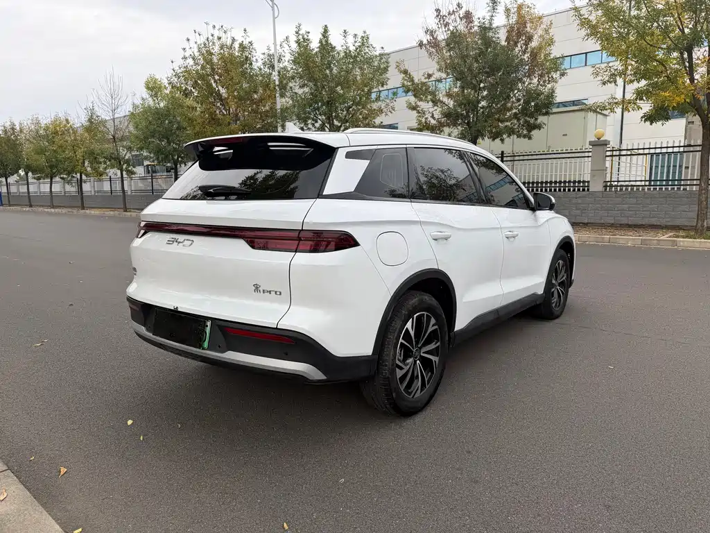 BYD Pro New Energy — миниатюра 10