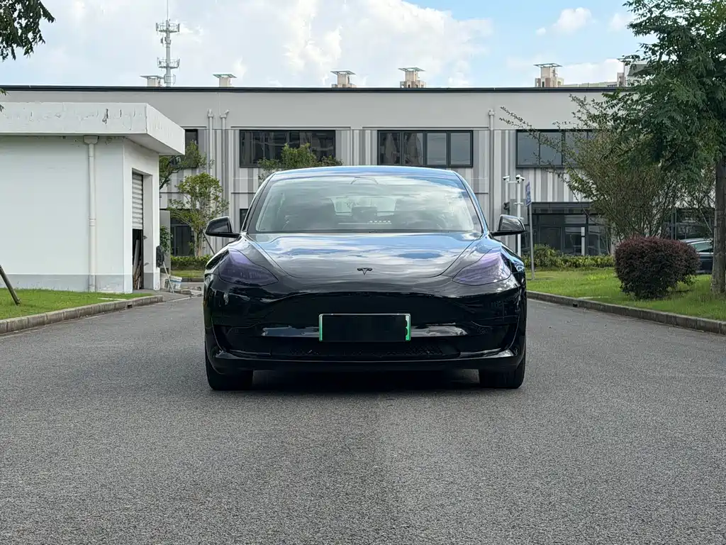 Tesla Model 3 — миниатюра 2