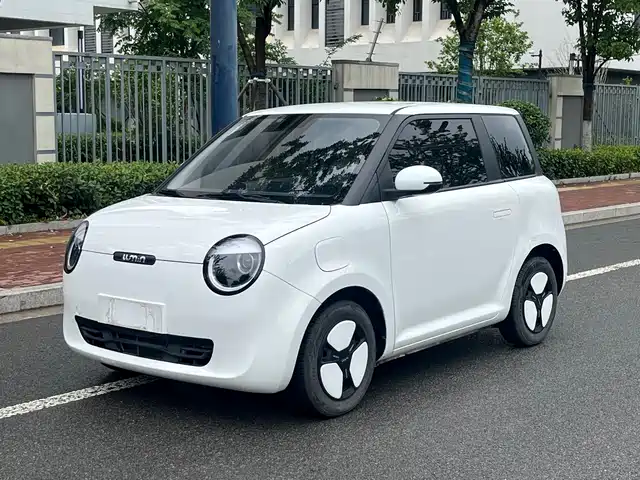 2024 Changan Lumin