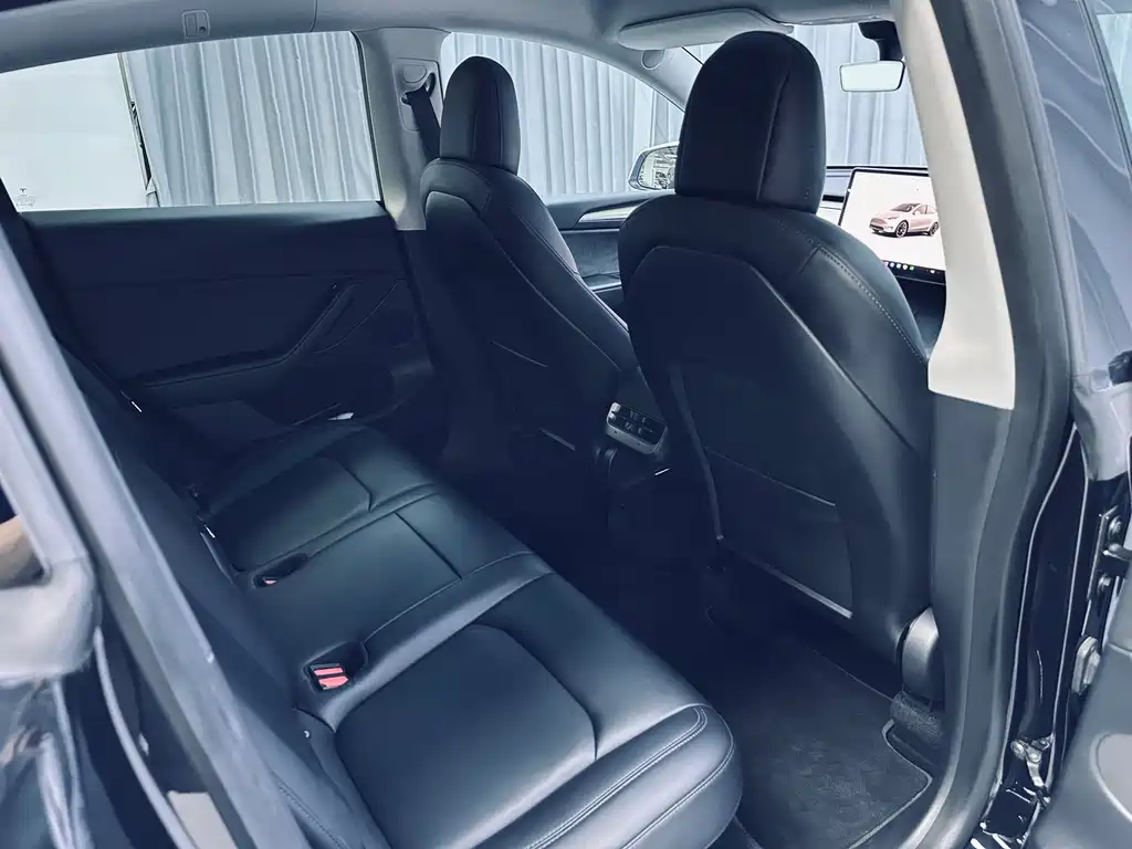 Tesla Model Y — миниатюра 9