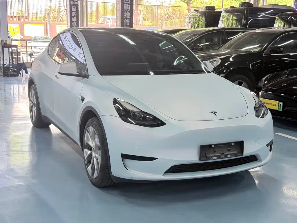 Tesla Model Y — миниатюра 3