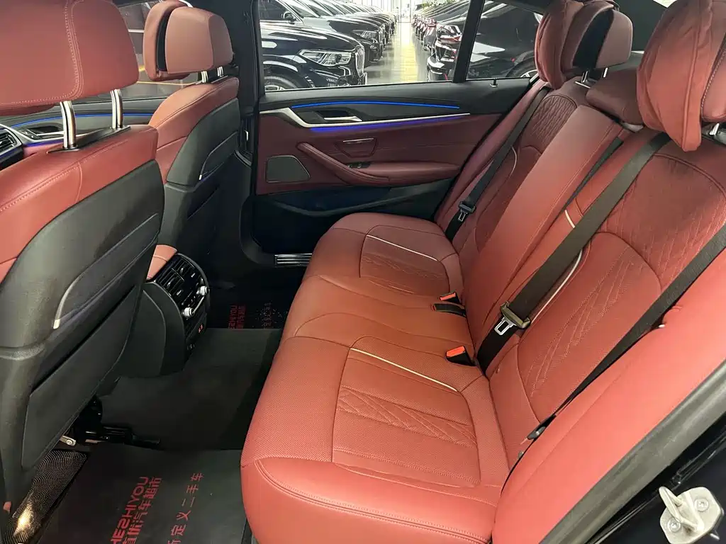 BMW 5 Series 5 2021 530Li Premium M Sport
