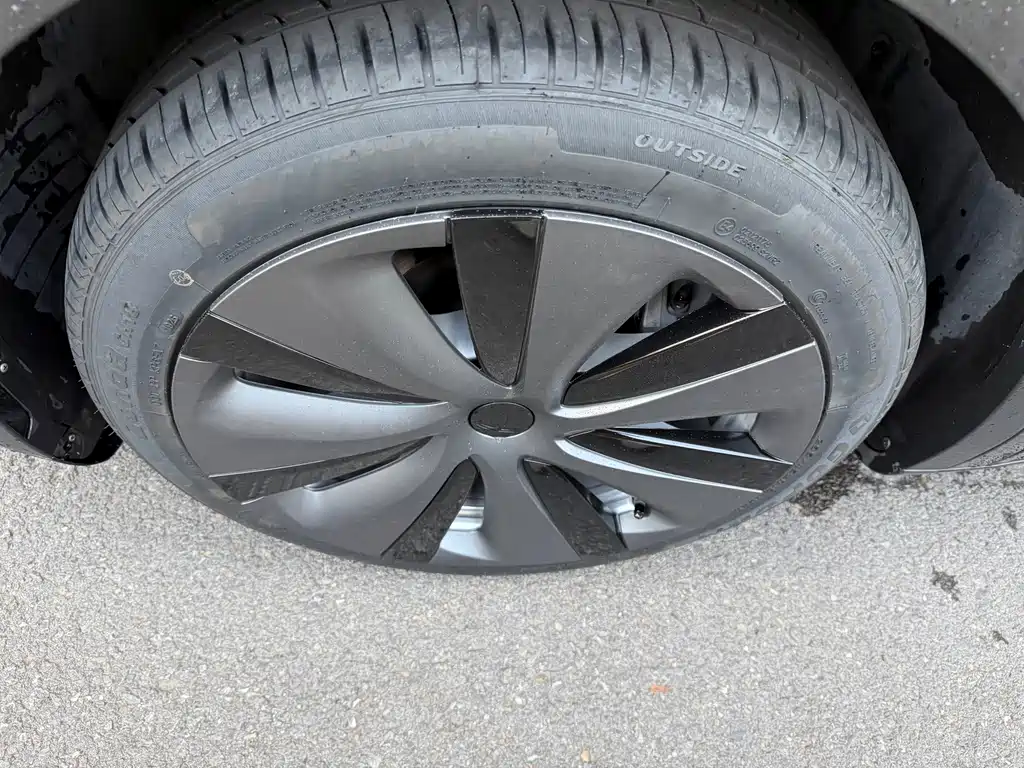 Tesla Model Y — миниатюра 4