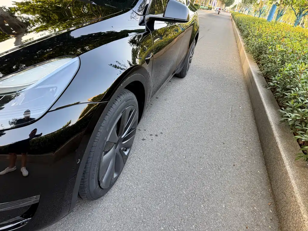 Tesla Model Y — миниатюра 3