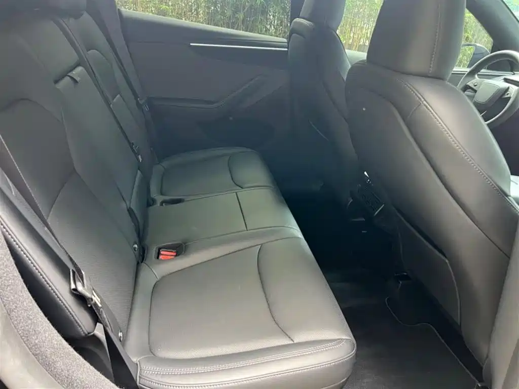 Tesla Model Y — миниатюра 11