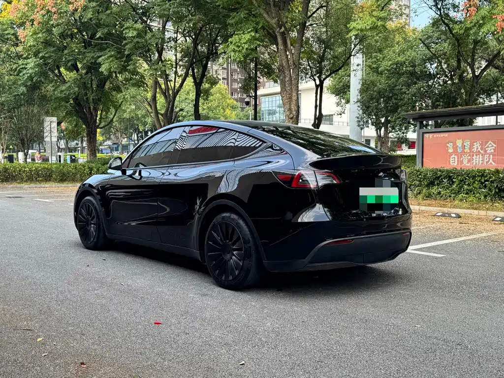 Tesla Model Y — миниатюра 6