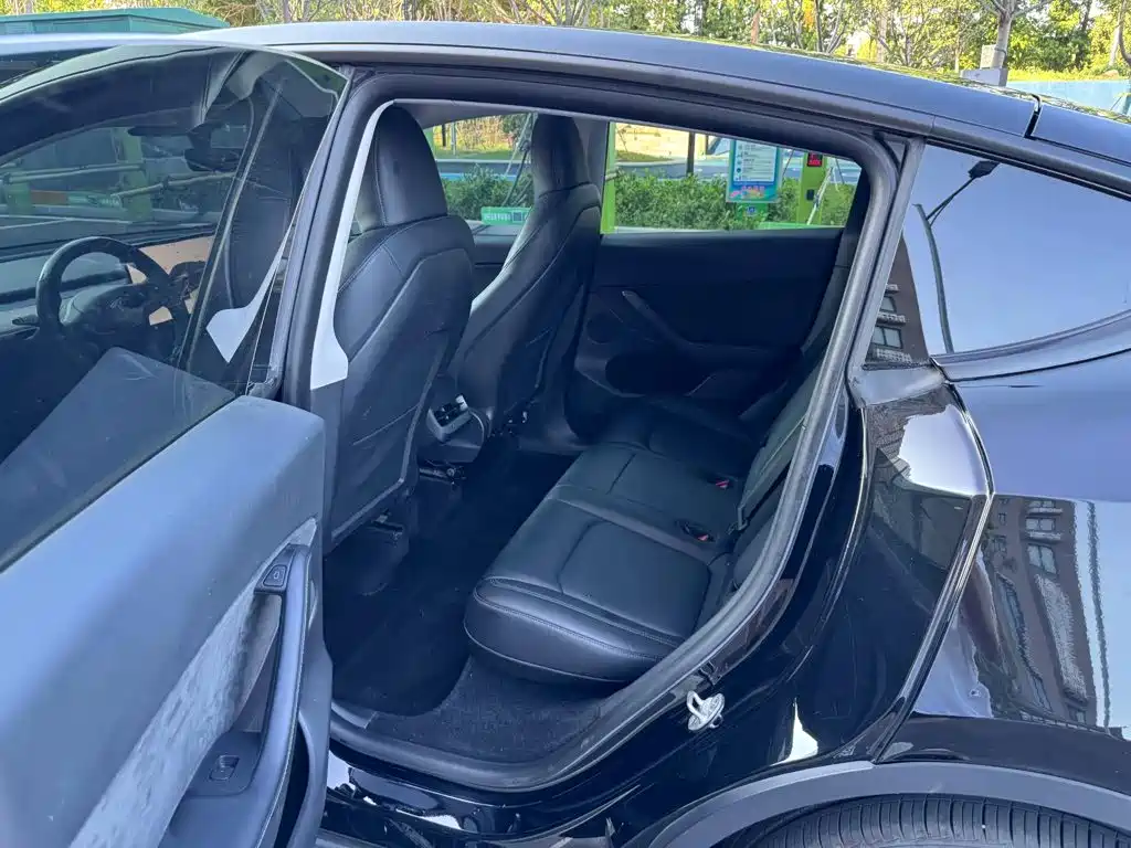 Tesla Model Y — миниатюра 8