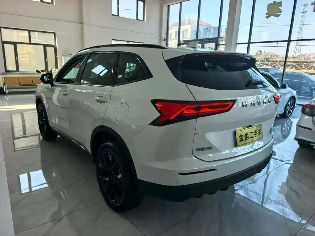 Haval H6 — миниатюра 5