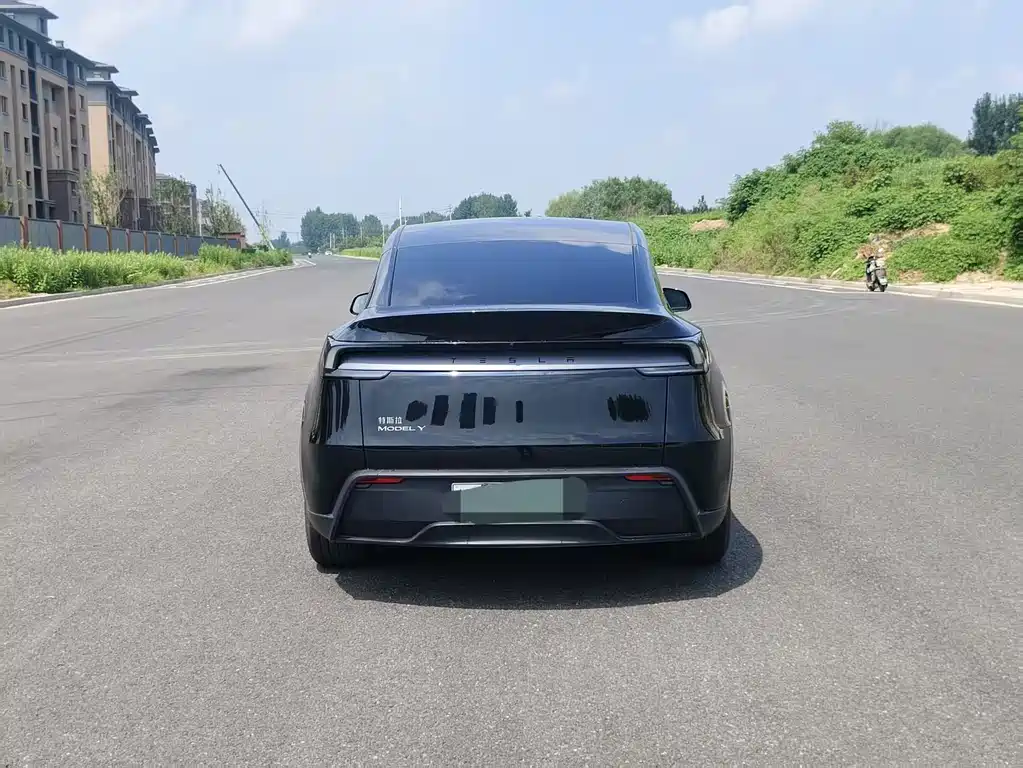 Tesla Model Y — миниатюра 5