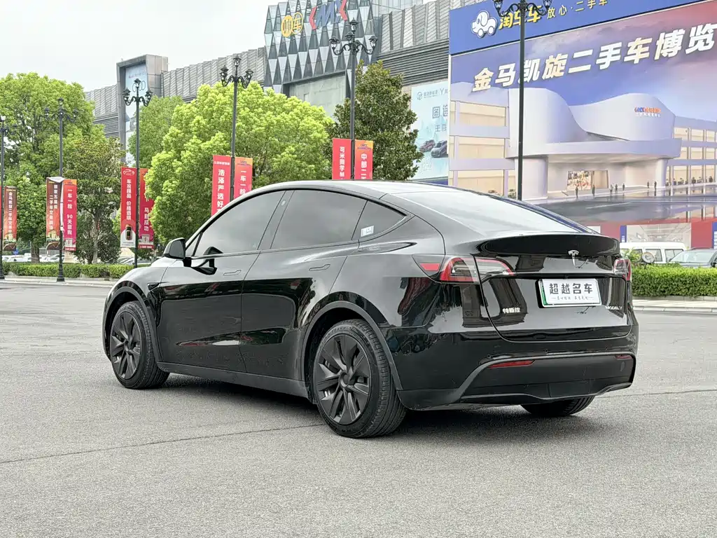 Tesla Model Y — миниатюра 5