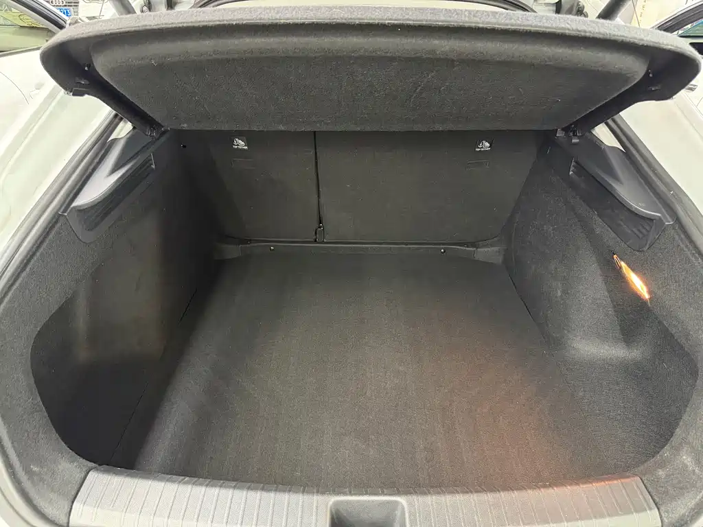 Volkswagen Lamando — миниатюра 11