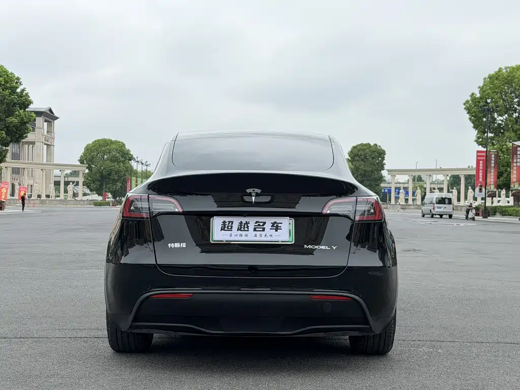 Tesla Model Y — миниатюра 6