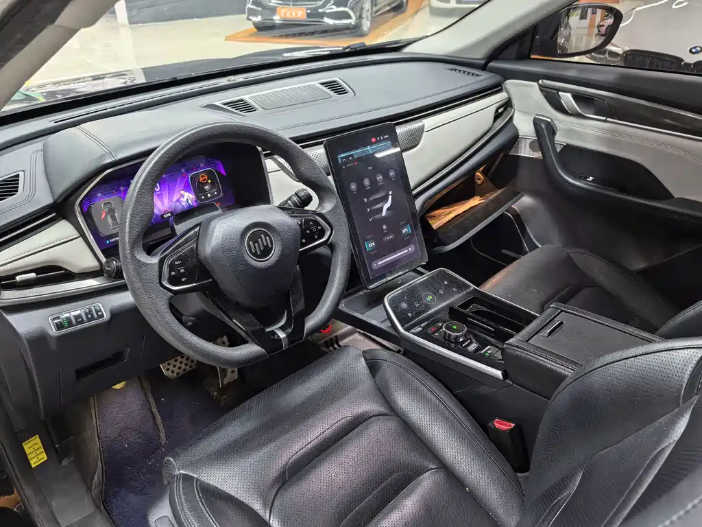 Weltmeister WEIMA EX5