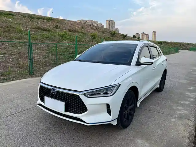 2020 BYD e2