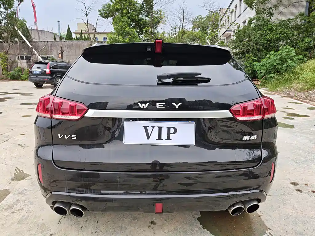 Wey VV5 Upgrade Model 2.0T 2WD Super Luxury Type China V, фото 8