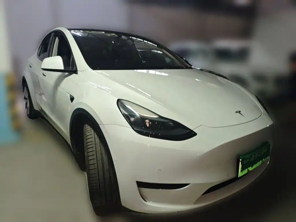 Tesla Model Y — миниатюра 25