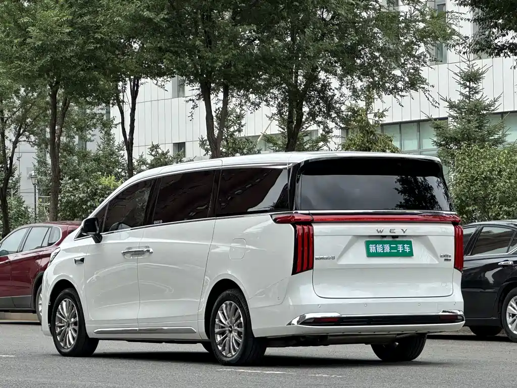 Wey Gaoshan New Energy 4WD High Mountain 8, фото 4