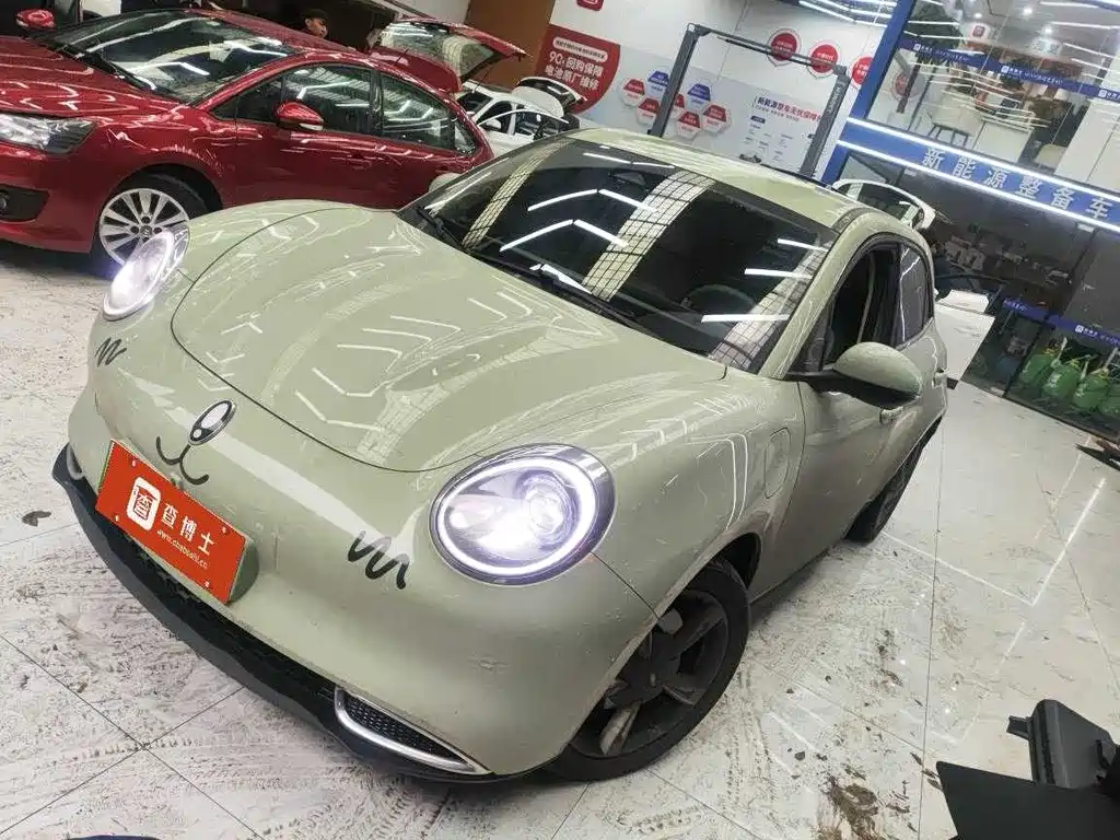 Ora Ora Good Cat 2024