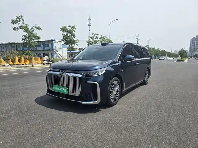 2025 Voyah Dream