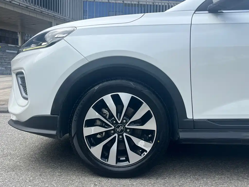 WM Motor EX5 — миниатюра 16