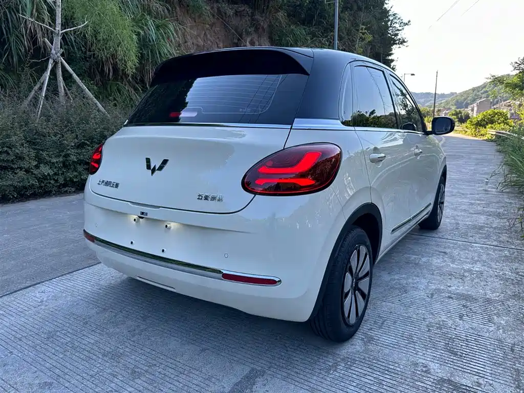 Wuling Binguo 2025 333km Enjoy
