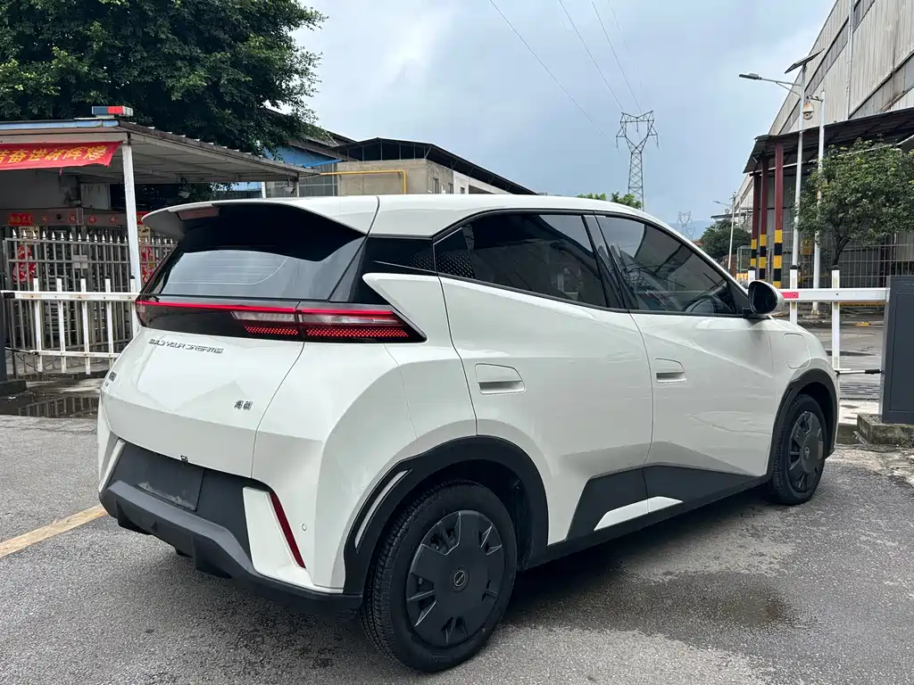 BYD Seagull