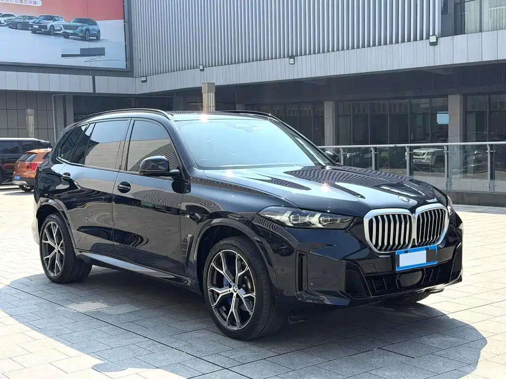 BMW X5 — миниатюра 3