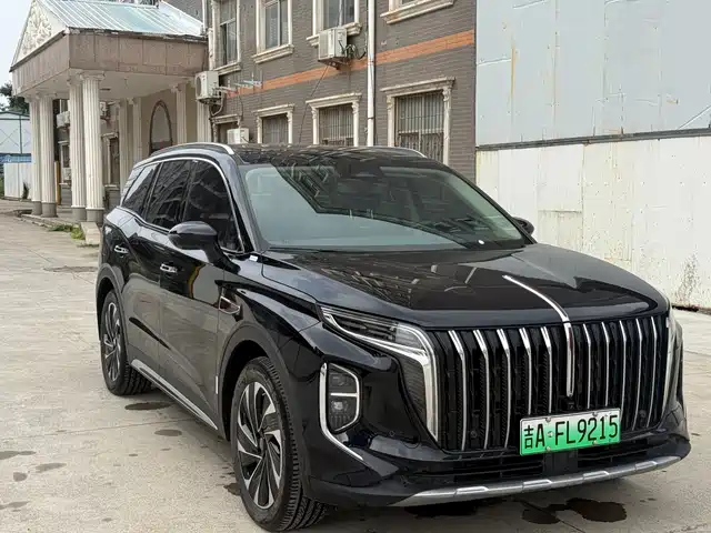 2024 Hongqi HS7