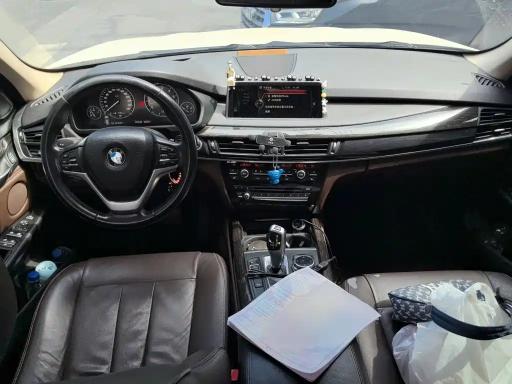 BMW X5 (Import) — миниатюра 10
