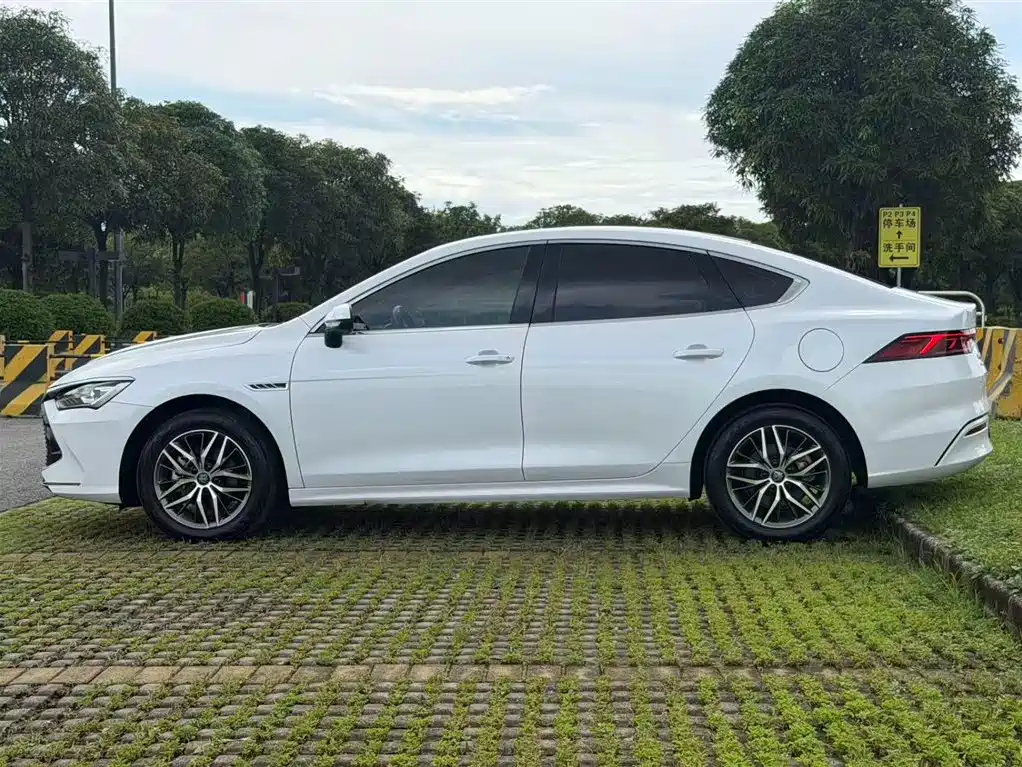 BYD Qin Plus PLUS 2024 DM-i 120KM Lead