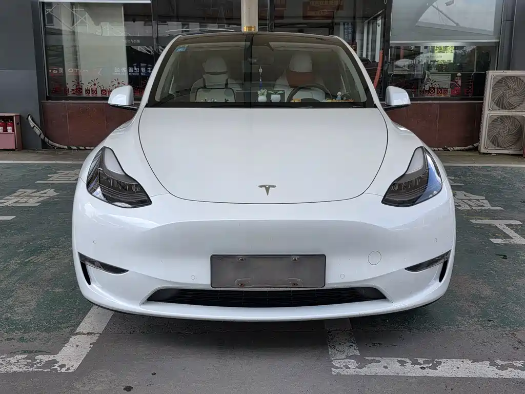 Tesla Model Y — миниатюра 4