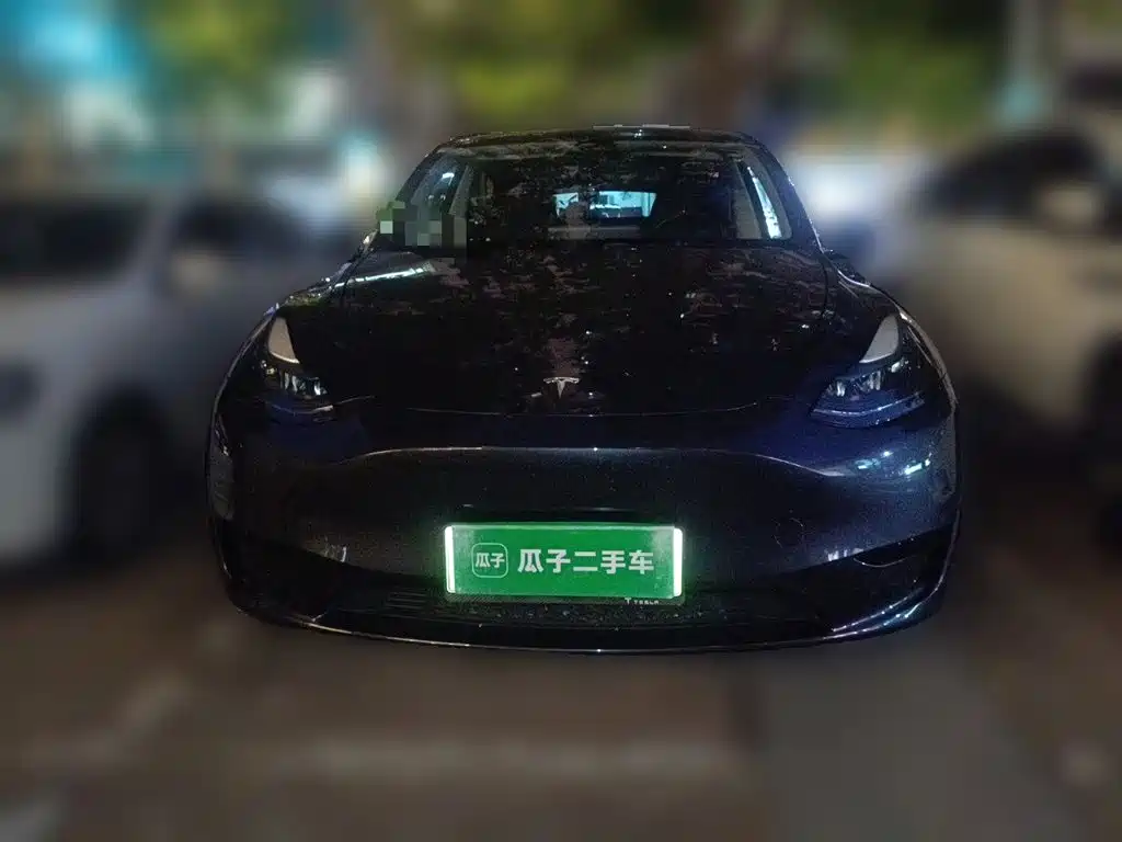Tesla Model Y — миниатюра 3