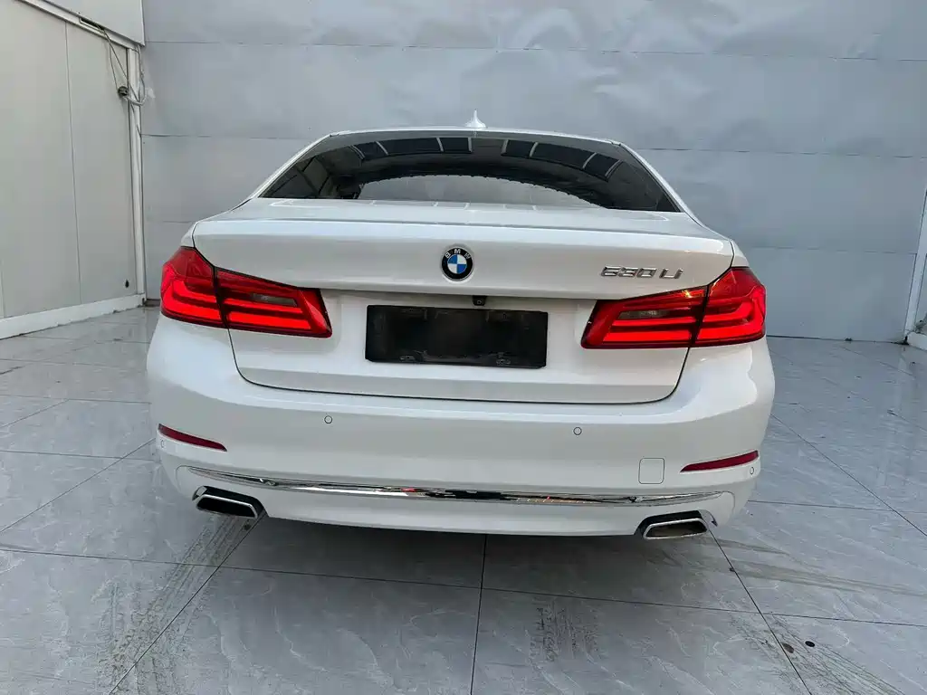 BMW 5 Series 5 2020 530Li Premium Luxury