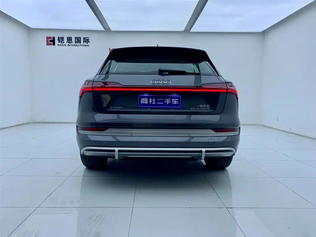 Audi e-tron 2021 50 quattro Luxury