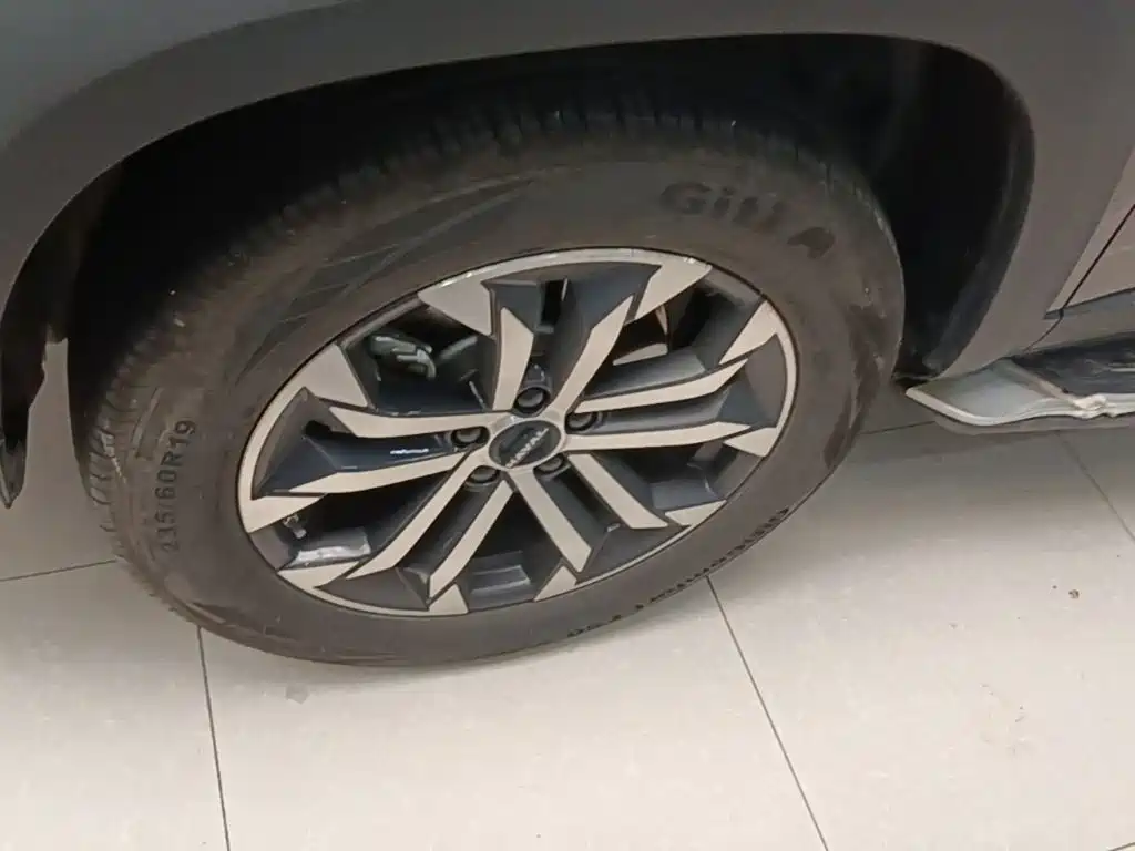 Haval Big Dog — миниатюра 23