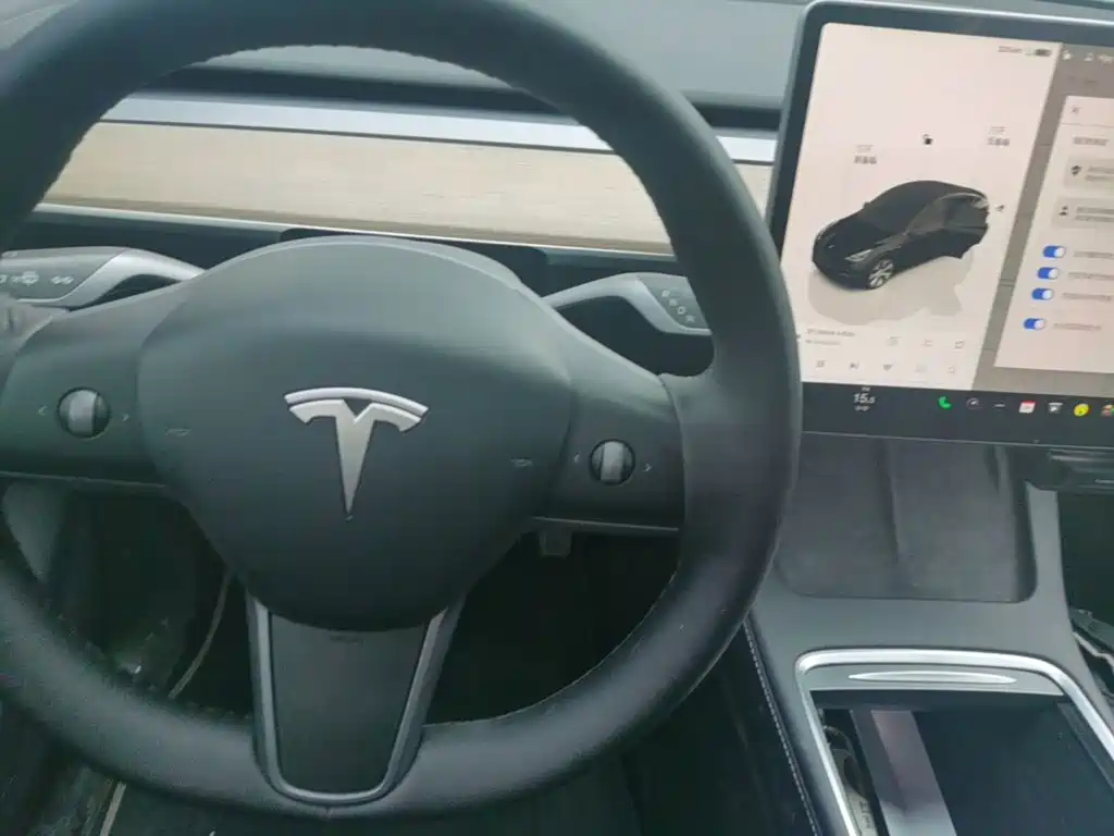 Tesla Model Y — миниатюра 14