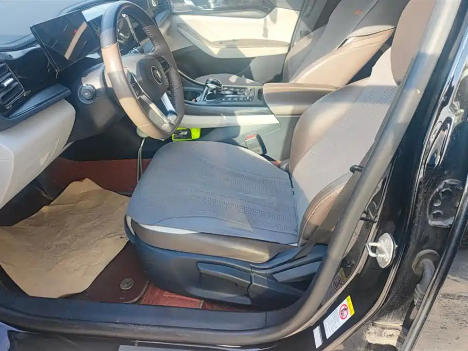 BYD Qin Plus PLUS 2024 DM-i 55KM Lead