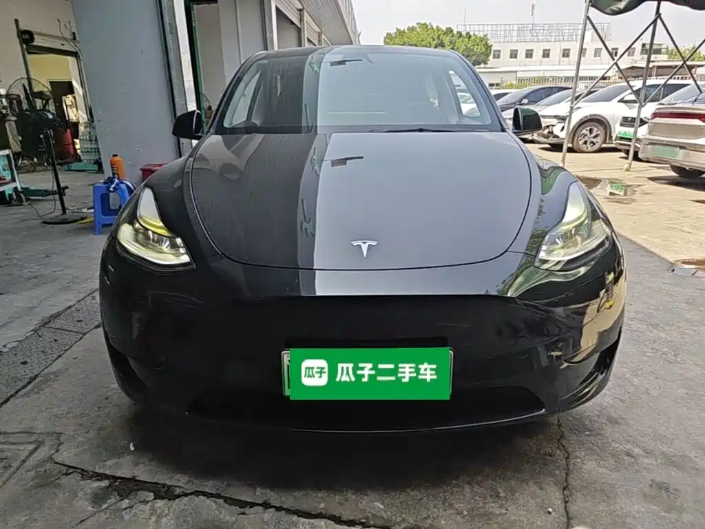 Tesla Model Y — миниатюра 3
