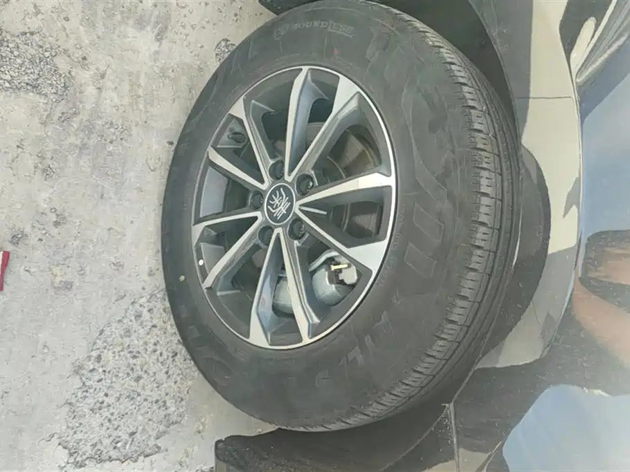 BYD Qin Plus PLUS 2024 DM-i 55KM Lead