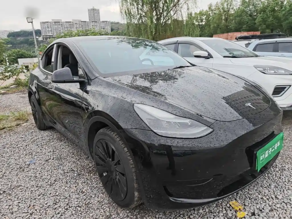 Tesla Model Y — миниатюра 4