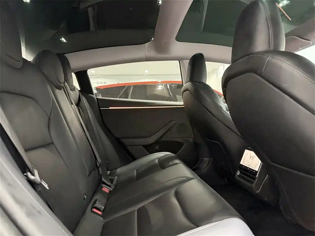 Tesla Model 3 — миниатюра 7