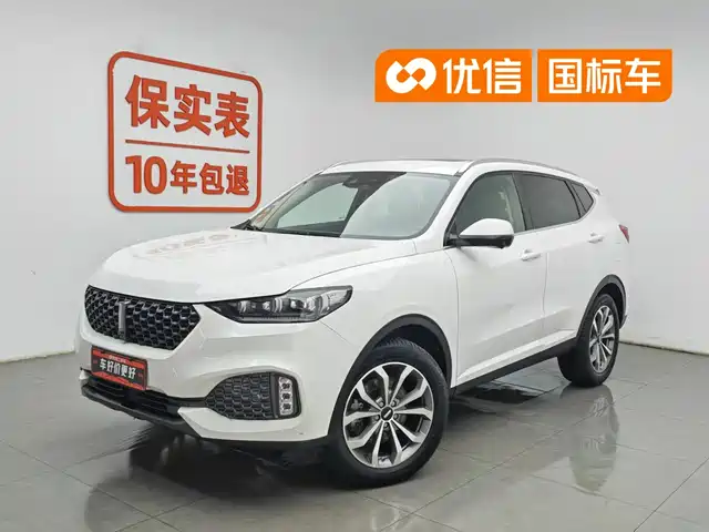 2020 Wey VV6