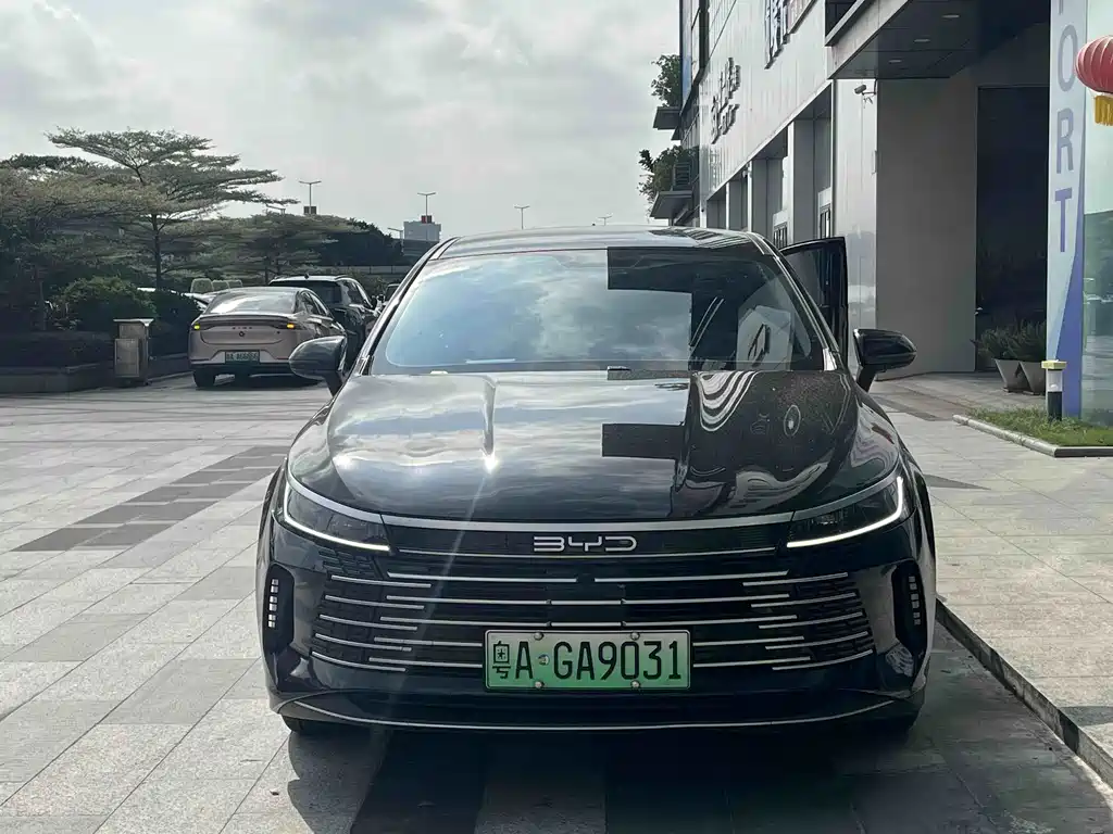 BYD Destroyer 05 — миниатюра 2