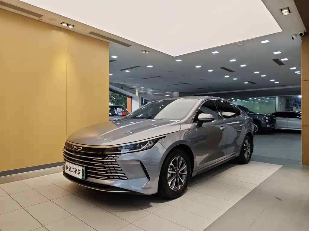 BYD Destroyer 05 2023 Champion DM-i 55KM Luxury