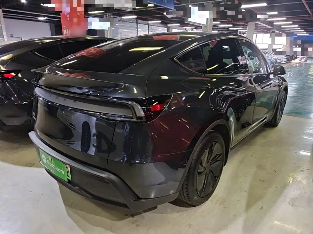 Tesla Model Y — миниатюра 7