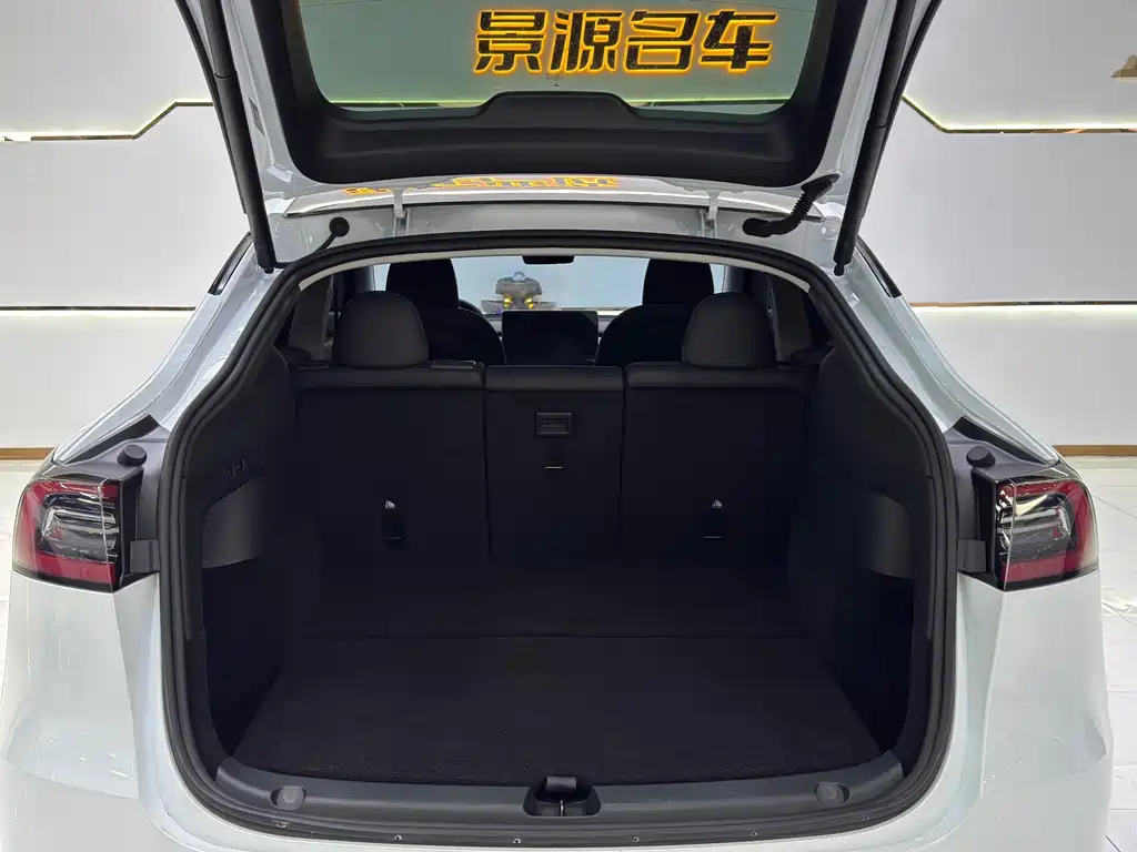 Tesla Model Y — миниатюра 11