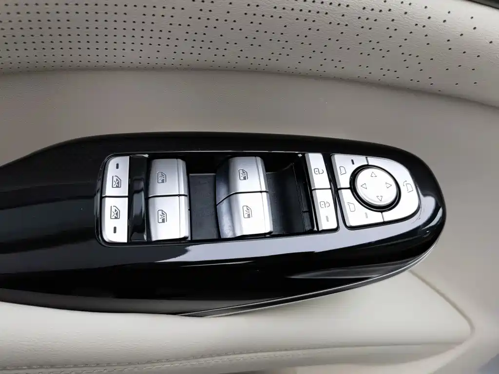 Denza Denza D9 — миниатюра 9