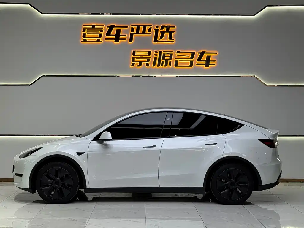 Tesla Model Y — миниатюра 2