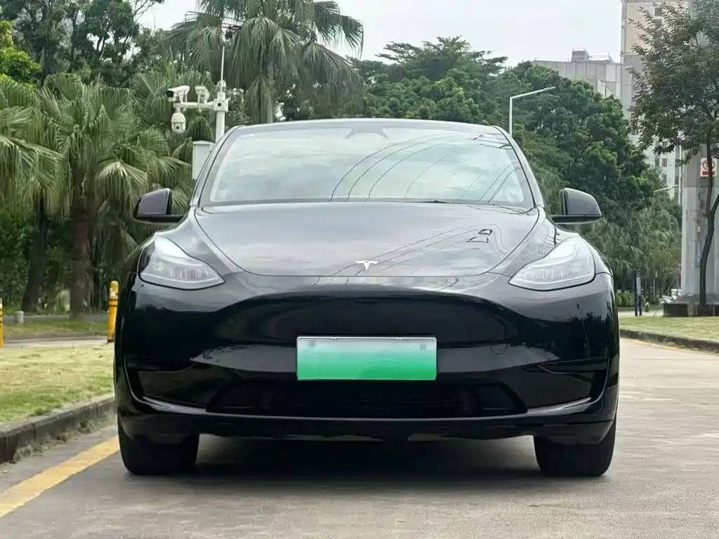Tesla Model Y — миниатюра 3